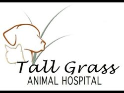 Tall Grass Animal Hospital Copperleaf Community